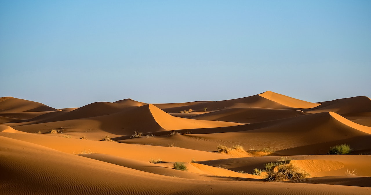 Pakistan is Seeking Arab Investment for a Dubai-like Desert in Thar